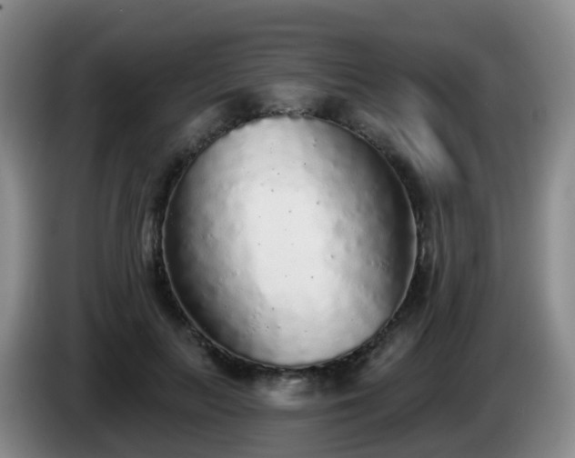 X0000085080647200703121704