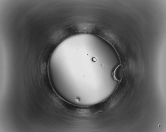 X0000085080649200703121704