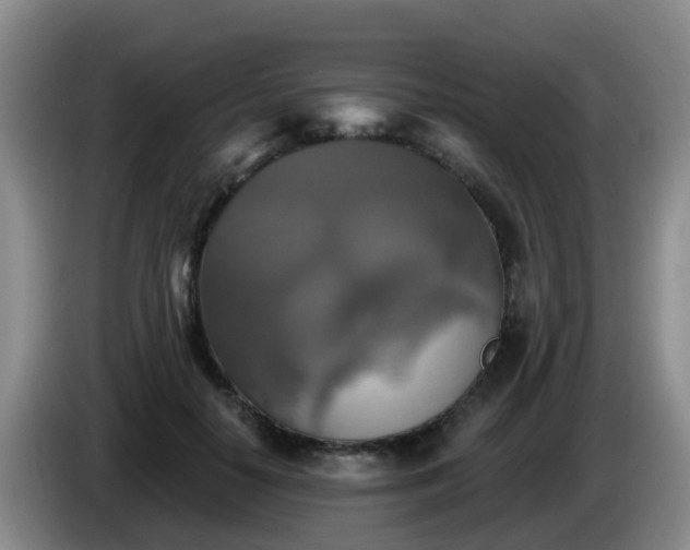 X0000085080650200703121704