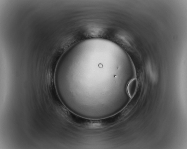 X0000085080651200703121704