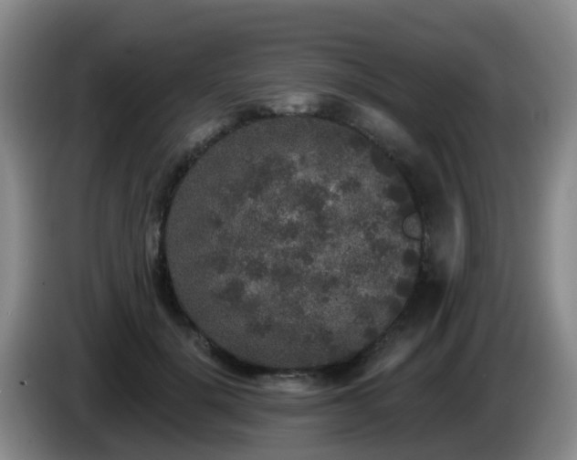 X0000085080652200703121704