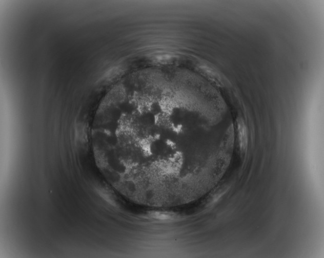 X0000085080654200703121704