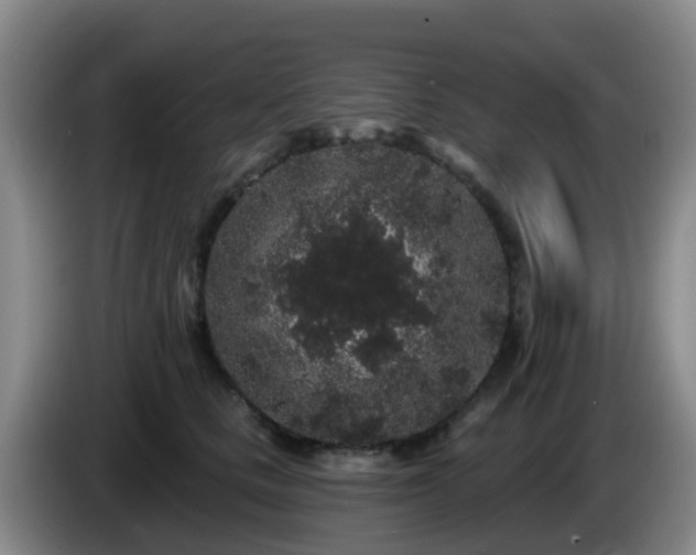 X0000085080661200703121704