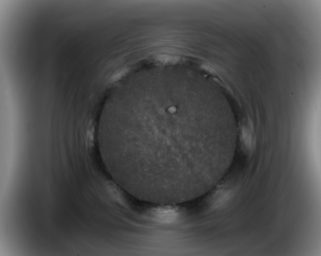 X0000085080668200703121704