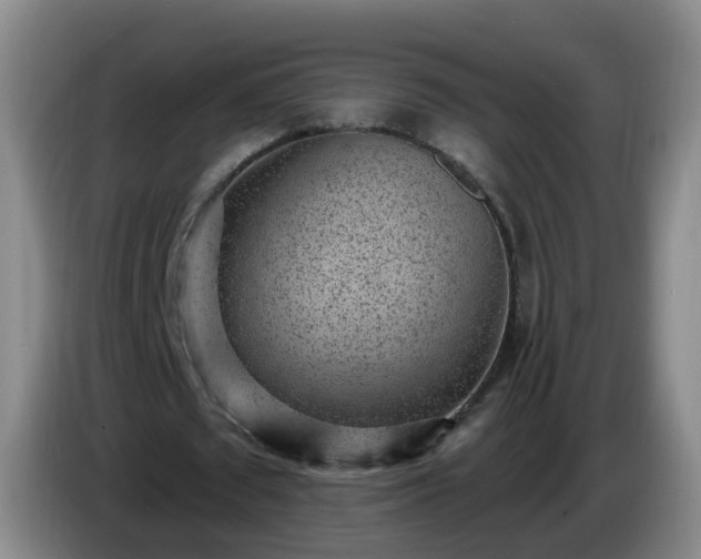 X0000085080673200703121704