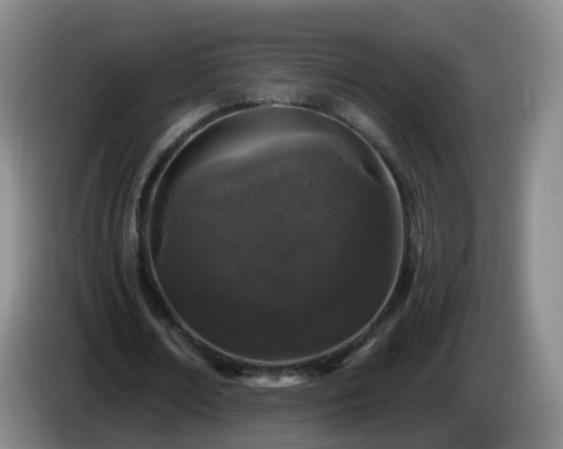 X0000085080674200703121704