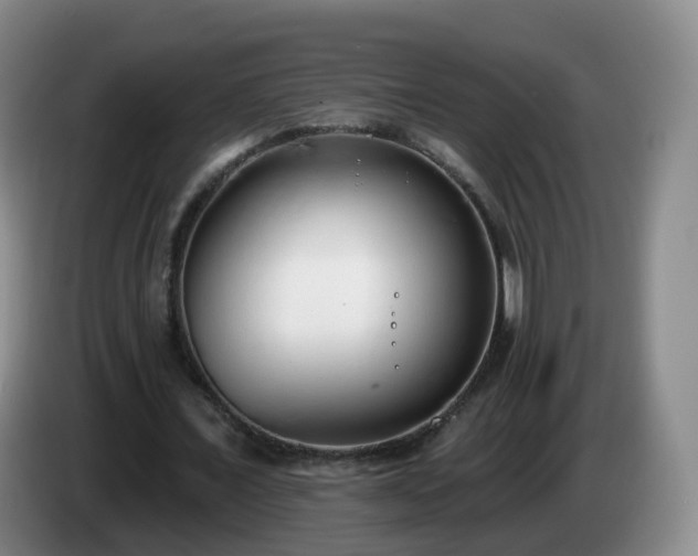 X0000085080675200703121704