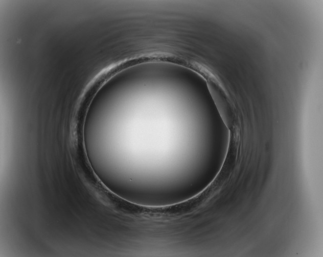 X0000085080676200703121703