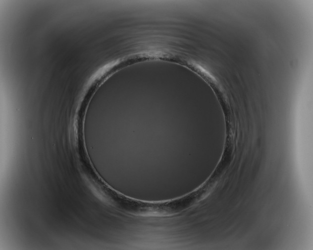 X0000085080678200703121703