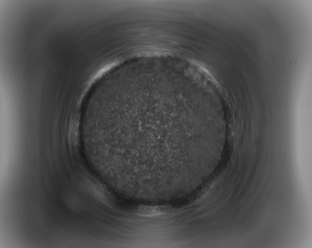 X0000085080679200703121703