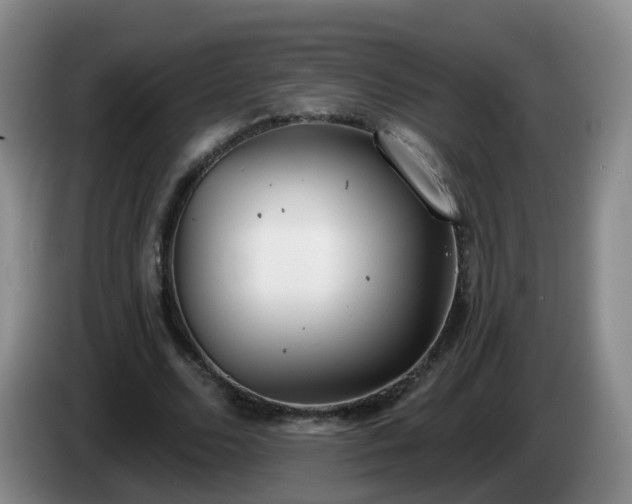 X0000085080680200703121703