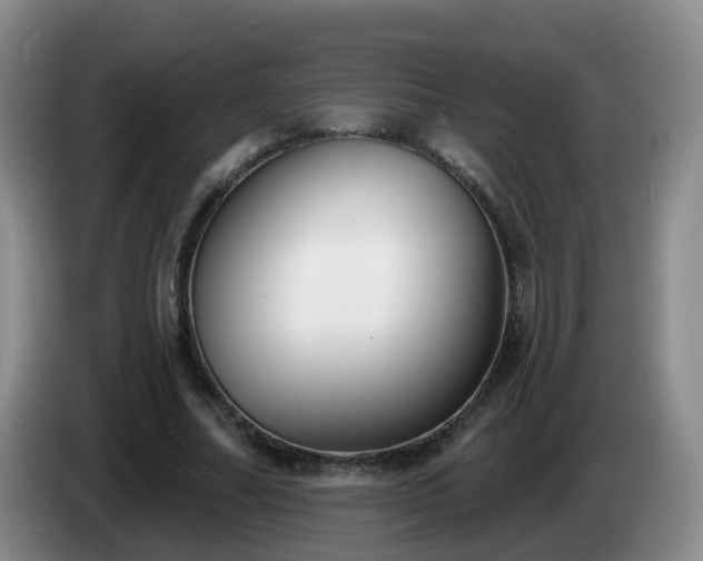 X0000085080682200703121703