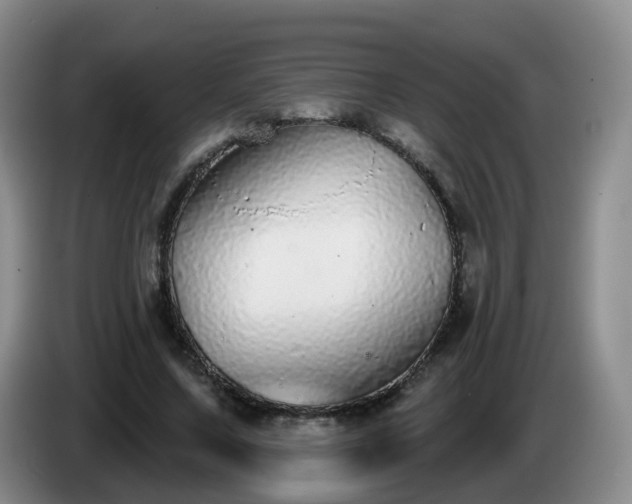 X0000085080683200703121703