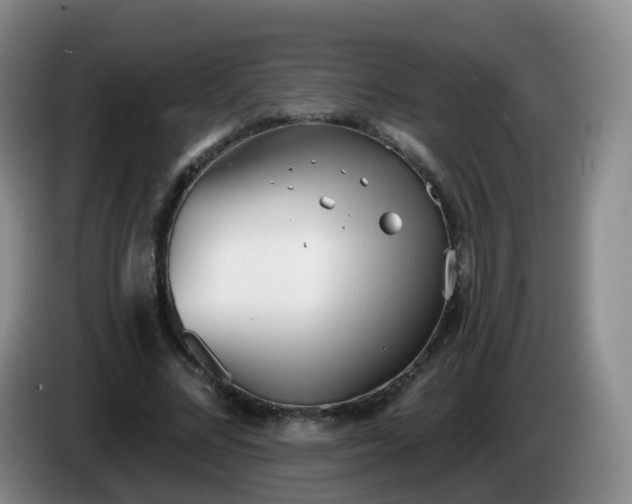 X0000085080684200703121703