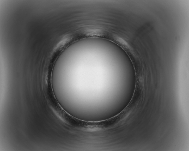 X0000085080686200703121703