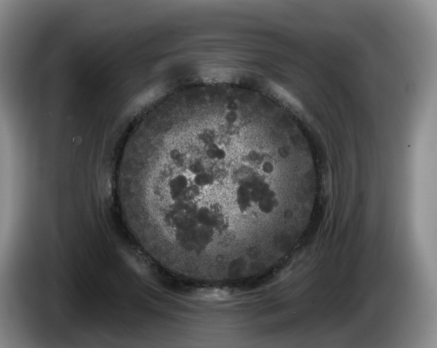 X0000085080687200703121703