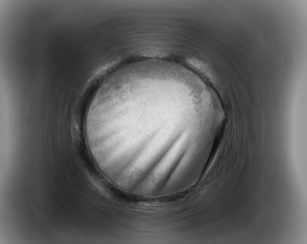 X0000085080688200703121703