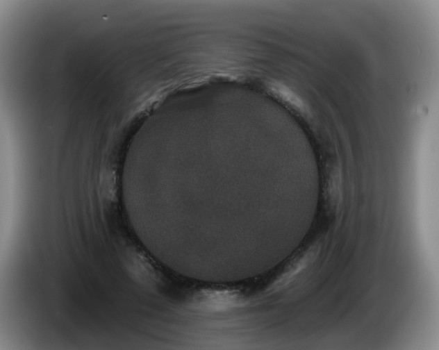 X0000085080689200703121703