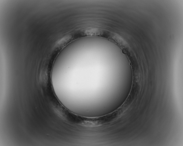 X0000085080690200703121703