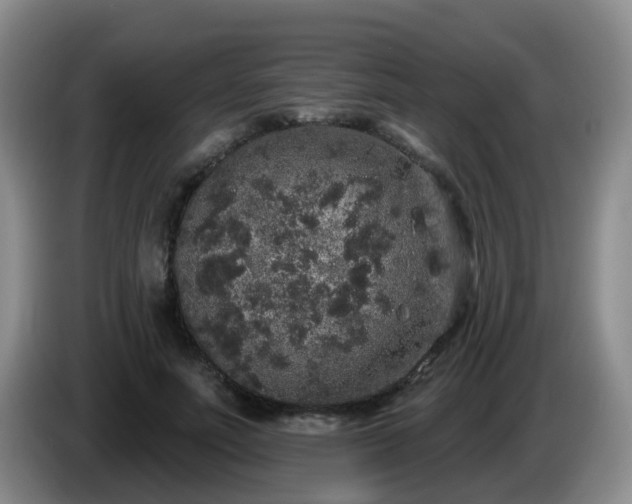 X0000085080691200703121703