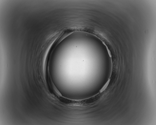 X0000085080692200703121703