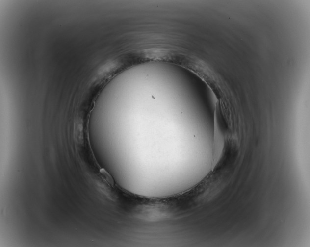 X0000085080696200703121703