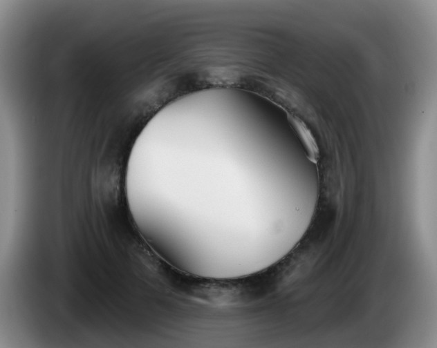 X0000085080697200703121703