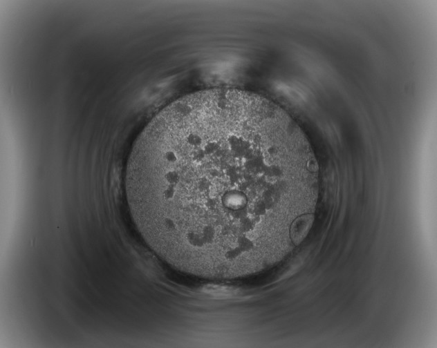 X0000085080699200703121703