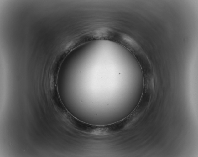 X0000085080700200703121703