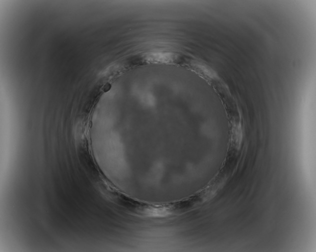 X0000085080701200703121703