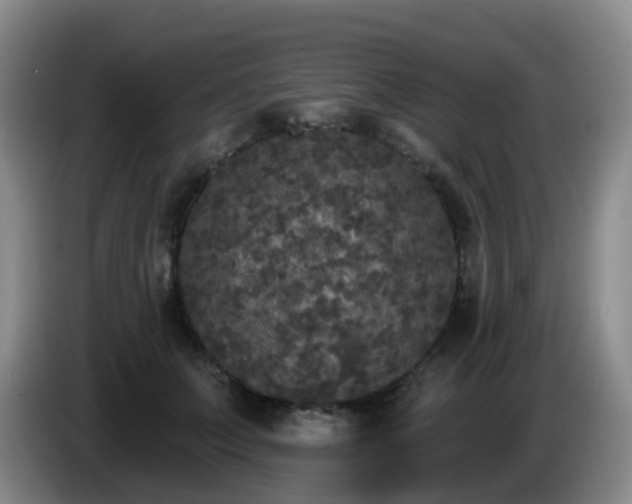 X0000085080703200703121703