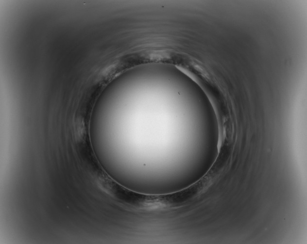 X0000085080704200703121703