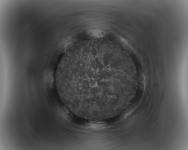 X0000085080707200703121703