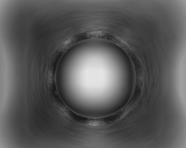 X0000085080708200703121703