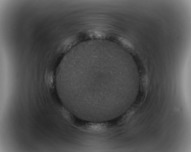 X0000085080709200703121703