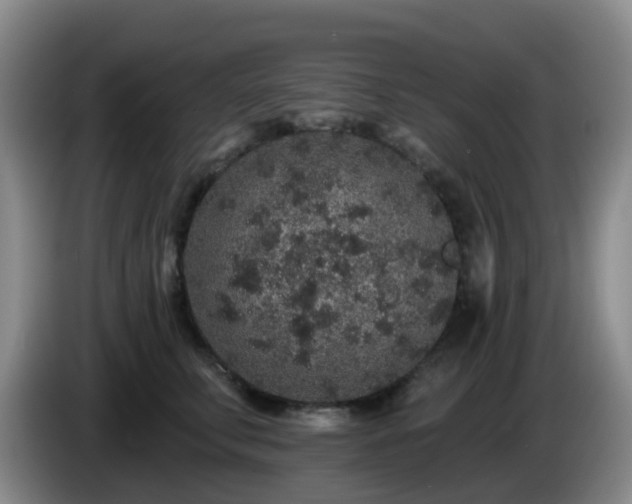 X0000085080711200703121703