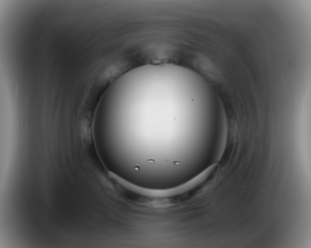 X0000085080719200703121703