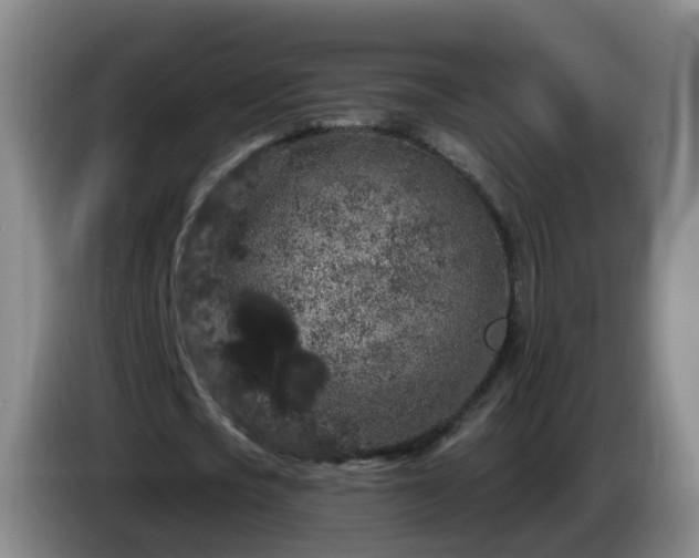 X0000085080721200703121702