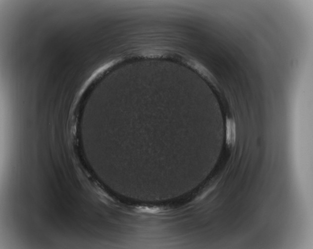 X0000085080723200703121702