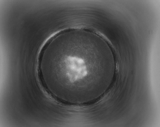 X0000085080724200703121702