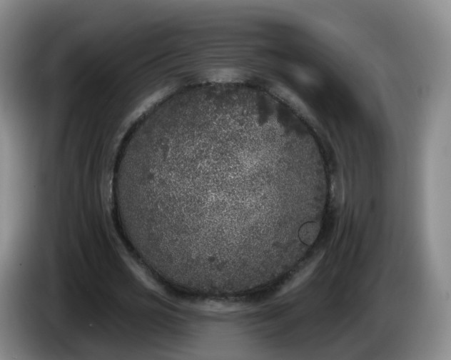 X0000085080725200703121702