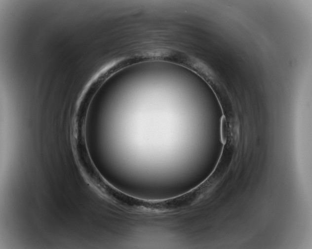 X0000085080726200703121702