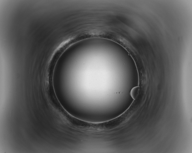 X0000085080727200703121702