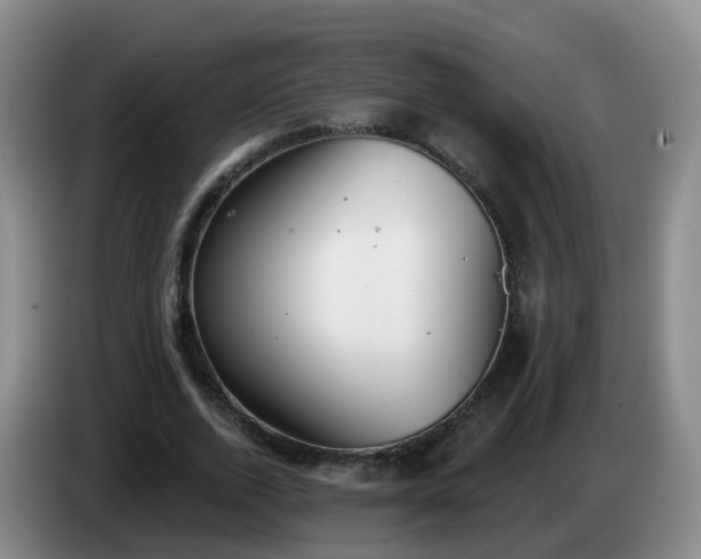 X0000085080728200703121702