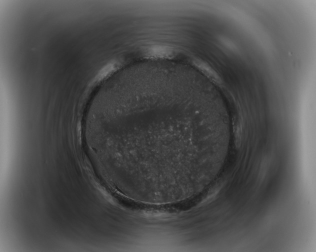 X0000085080729200703121702