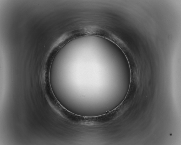 X0000085080730200703121702