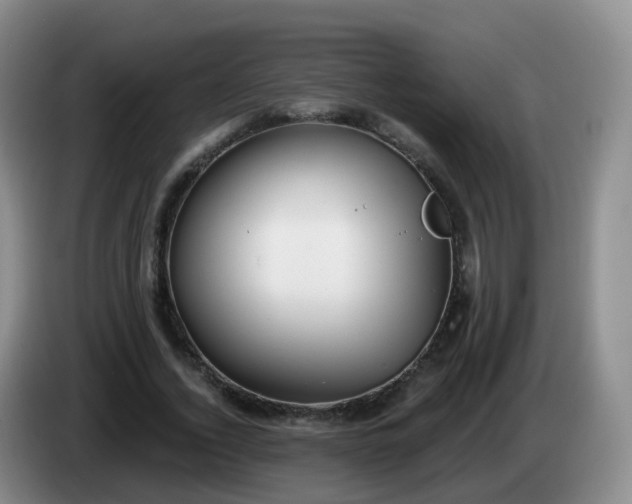 X0000085080732200703121702