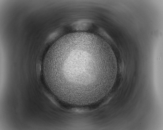 X0000085080733200703121702