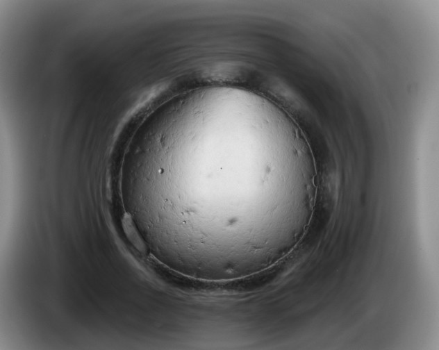 X0000085080734200703121702