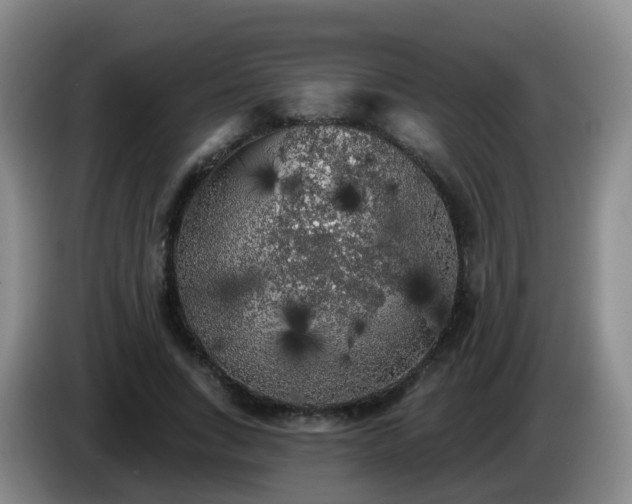 X0000085080735200703121702